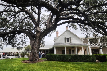 Cabinet Oak and Texas White House